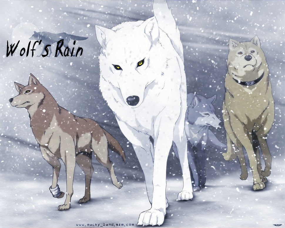 painting of Wolf's Rain, Wolf's Rain, anime, wolf, animals HD wallpaper