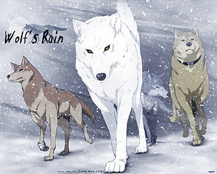 painting of Wolf's Rain, Wolf's Rain, anime, wolf, animals