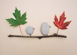 stone chicks near leaves HD wallpaper