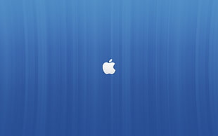 blue and white wooden wardrobe, Apple Inc.