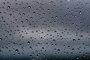 Drops,  Surface,  Glass