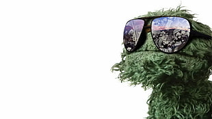 Sesame Street Trash digital wallpaper, glasses, Sesame Street, Oscar The Grouch, money