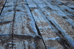 blue wooden floor, texture, old, wooden surface, wood
