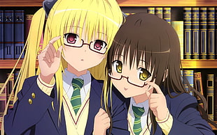 two girls with brown and yellow hairs anime characters