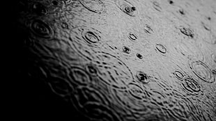 body of water, rain, nature, water drops, ripples HD wallpaper