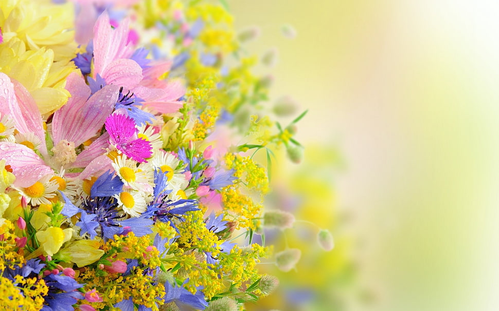 soft focus photography of pink and yellow flowers HD wallpaper