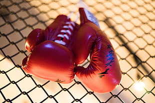 tilt-shift lens photography of pair of red boxing gloves hanging on cyclone fence