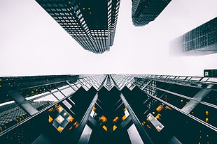 photo of skyscrapers, Buildings, Skyscrapers, View from below