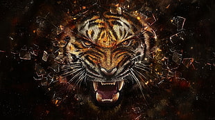Tiger graphic wallpaper HD wallpaper