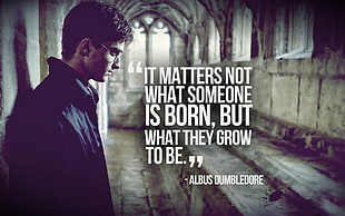 Harry Potter with text overlay, quote HD wallpaper