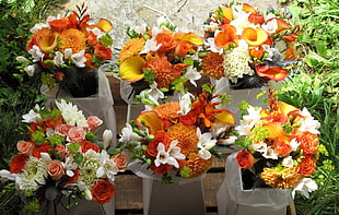 orange and white bouquet of flowers HD wallpaper
