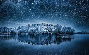 snowy trees, winter, water, sky, forest