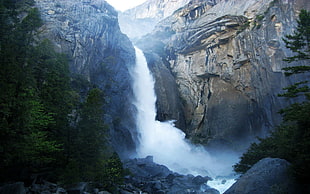 green tree, waterfall, mountains, nature, Yosemite National Park HD wallpaper