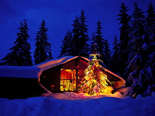 lighted cabin covered in snow