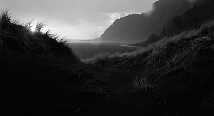 black and white abstract painting, sea, grass, Sun, mountains