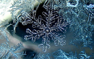 close-up photography of snowflake