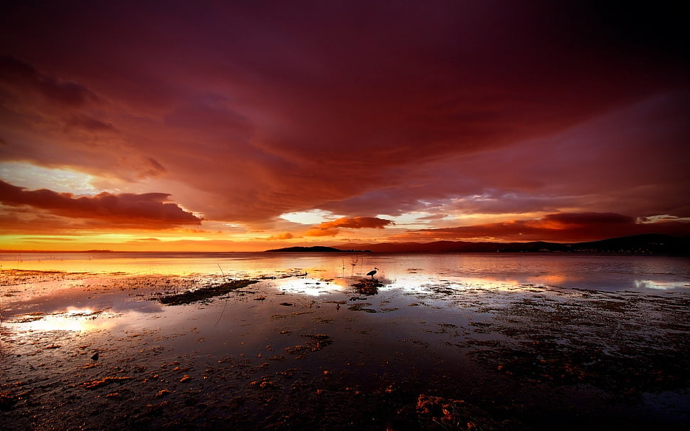 landscape painting, landscape, water, sky, clouds HD wallpaper