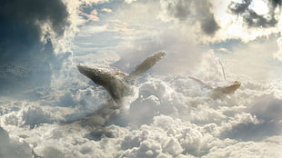 whale on clouds fan art, fantasy art, sky, whale, clouds