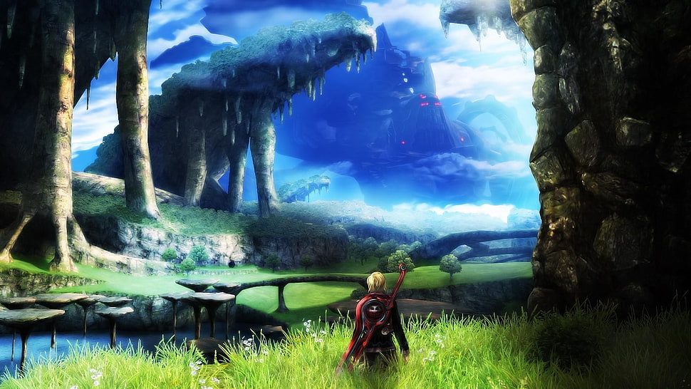 man standing on grass digital wallpaper, Shulk, Xenoblade Chronicles HD wallpaper