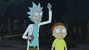 Rick and Morty characters, Rick and Morty, cartoon, Rick Sanchez, Morty Smith HD wallpaper