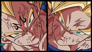 Vegeta and Son Goku collage, Dragon Ball Z HD wallpaper