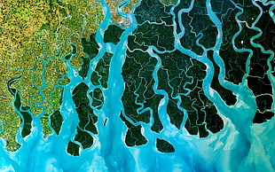 aerial photograph of land, aerial view, nature, Bangladesh, Ganges HD wallpaper