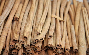 selective focus photography of brown wood sticks HD wallpaper