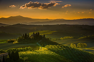green trees covered mountain, landscape, Tuscany, Italy HD wallpaper