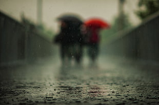 blurry photography of people using umbrellas while walking on wet concrete pathway HD wallpaper
