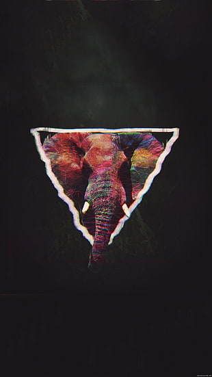 brown, red, and blue elephant logo, elephant, abstract, animals, triangle