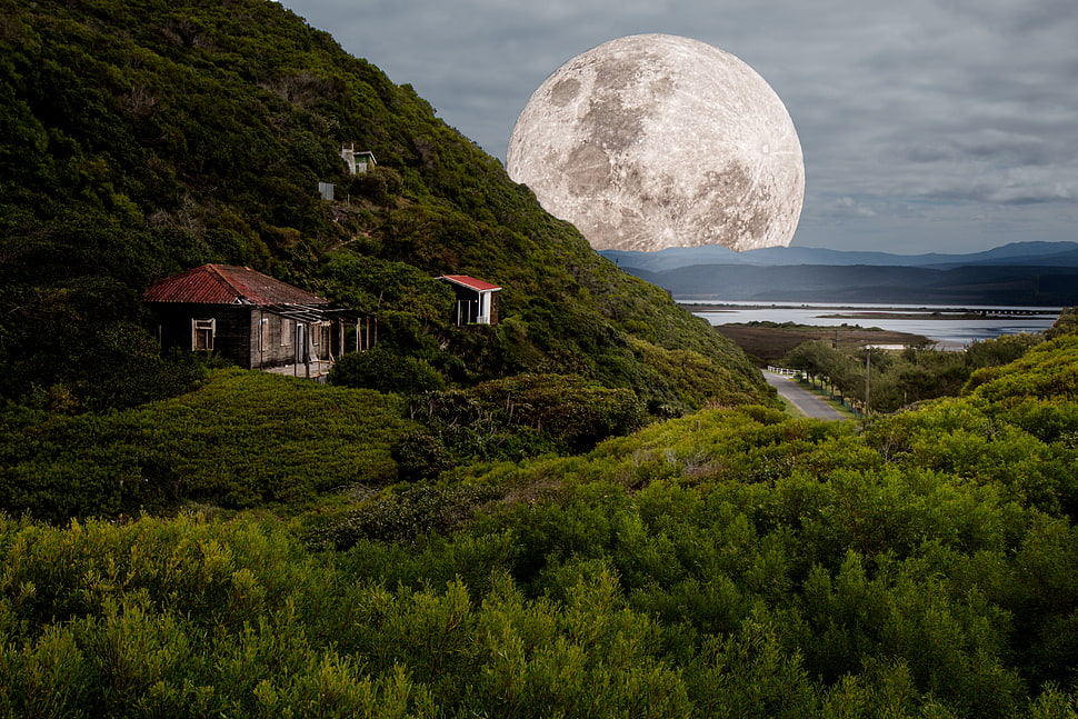 full moon behind green covered mountain HD wallpaper
