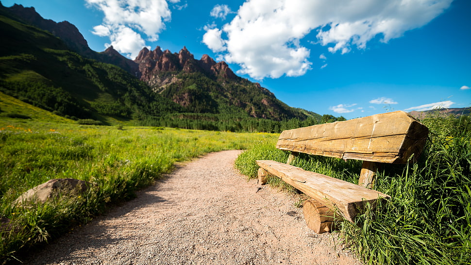 brown wooden bench HD wallpaper