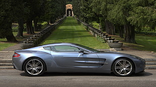 gray coupe, car, Aston Martin
