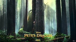 Disney Pete's Dragon movie HD wallpaper