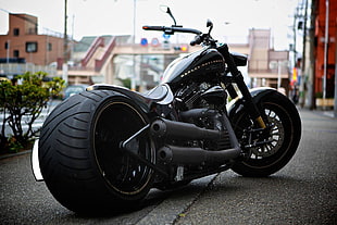 black Harley-Davidson chopper motorcycle, Harley-Davidson HD wallpaper