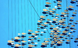 white and blue floral curtain, fish, artwork, blue background