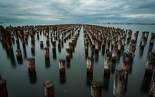 brown and white wooden poles on body of water