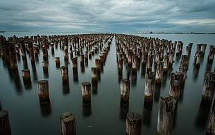 brown and white wooden poles on body of water HD wallpaper