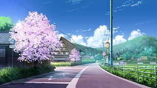 pink leaf tree, road, clouds, cherry blossom, landscape
