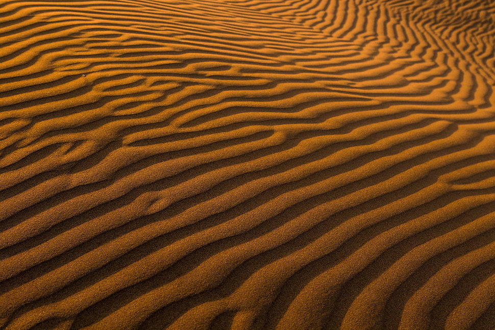 desert field, Sand, Surface, Desert HD wallpaper
