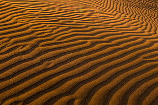 desert field, Sand, Surface, Desert HD wallpaper