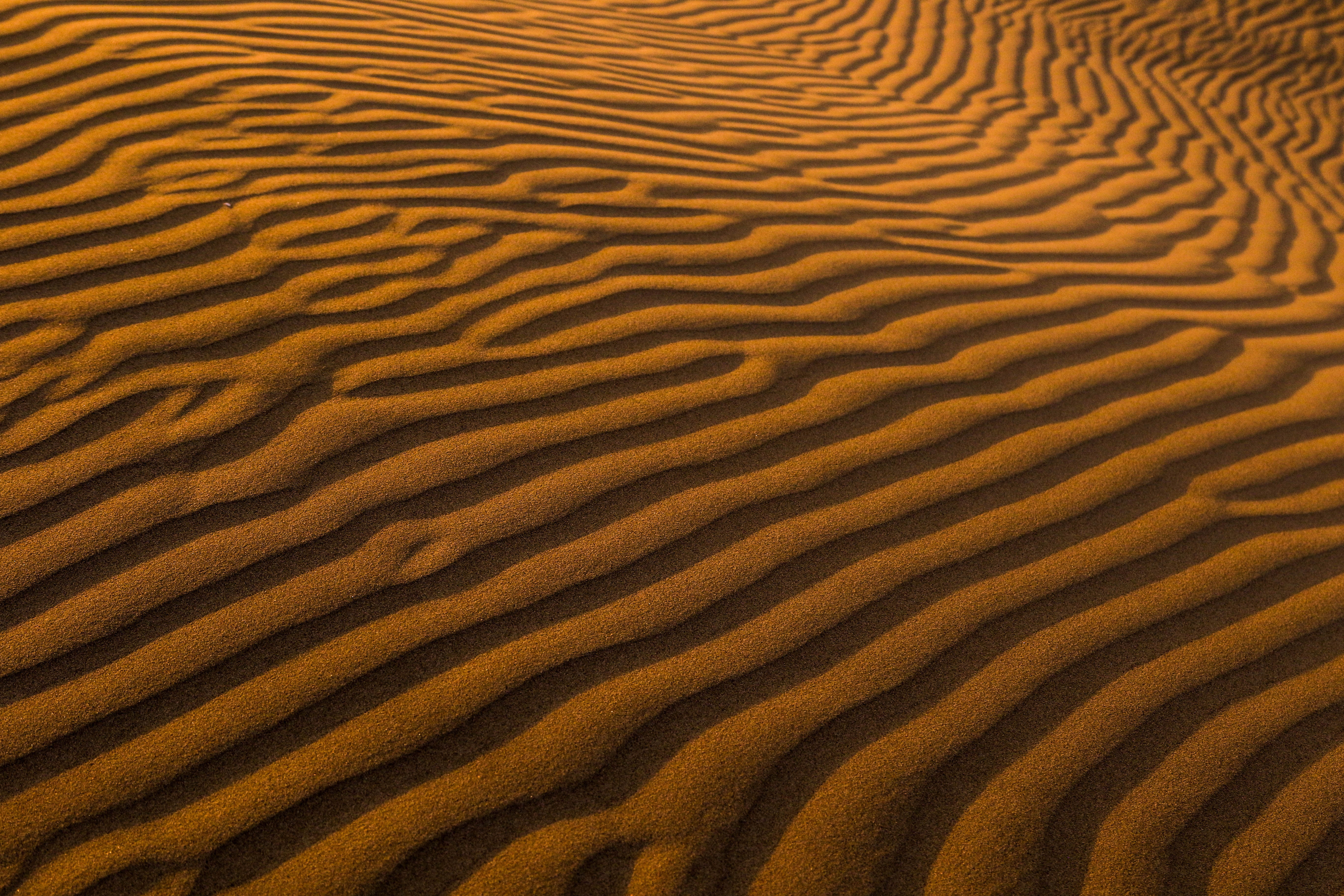 desert field, Sand, Surface, Desert