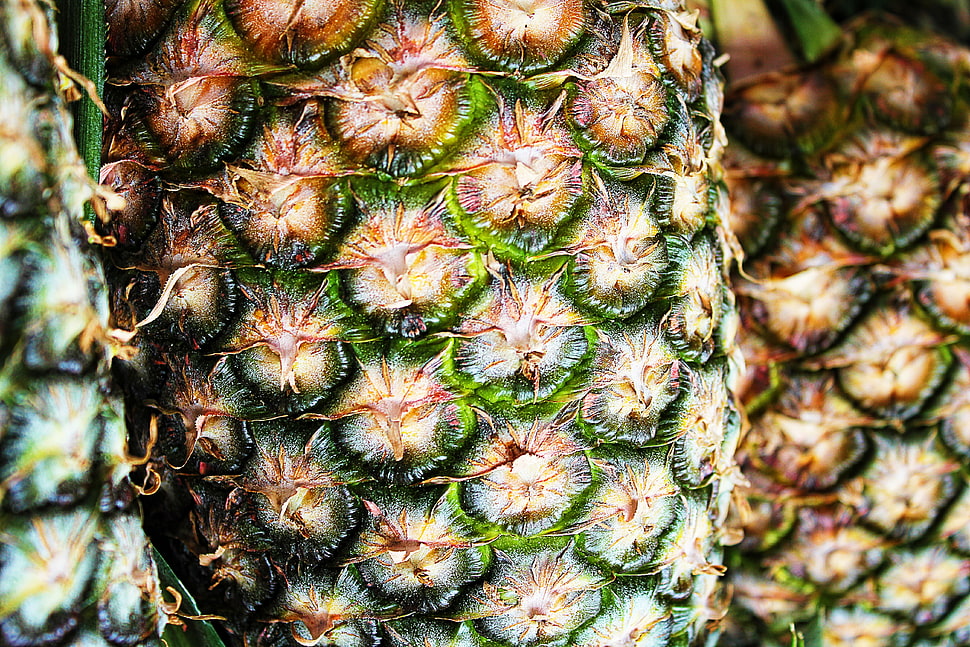 pineapple photography HD wallpaper