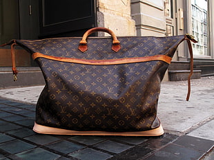 women's brown leather Louis Vuitton hand bag on concrete surface