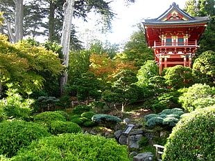 red pagoda surrounded by bonsai plants