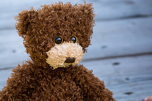 selective photography of brown bear plush toy