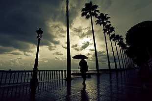 silhouete of a man holding umbrella while walking on bay HD wallpaper