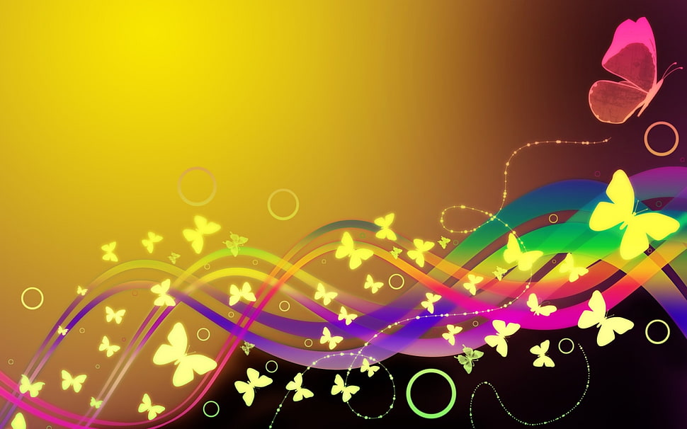 multicolored butterflies digital wallpaper HD wallpaper