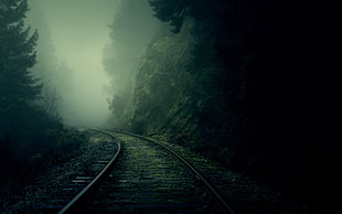 trail rail in between trees surrounded with fogs HD wallpaper