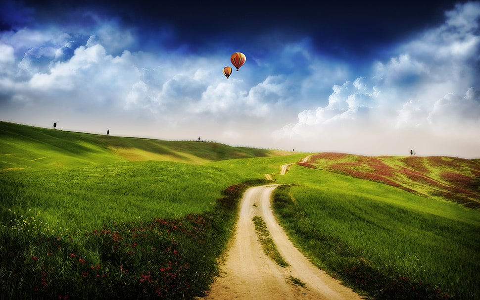 two hot air balloons flying over grass field during daytime HD wallpaper